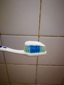 福建佳期對粉臻白亮齒牙膏使用效果的評價 臻白亮齒，笑容自信的秘密武器